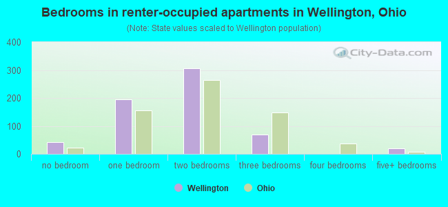 Bedrooms in renter-occupied apartments in Wellington, Ohio