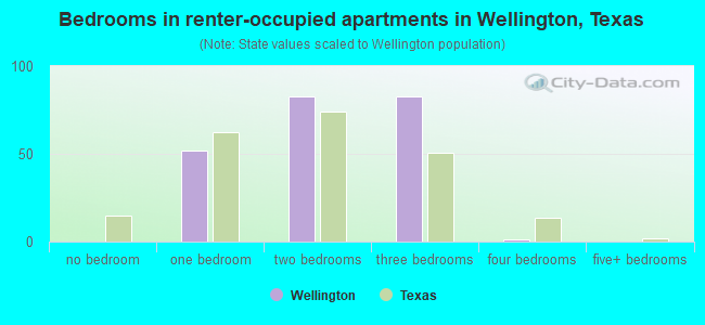 Bedrooms in renter-occupied apartments in Wellington, Texas