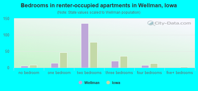 Bedrooms in renter-occupied apartments in Wellman, Iowa