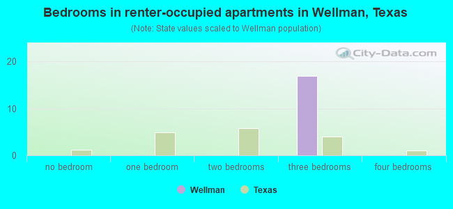 Bedrooms in renter-occupied apartments in Wellman, Texas