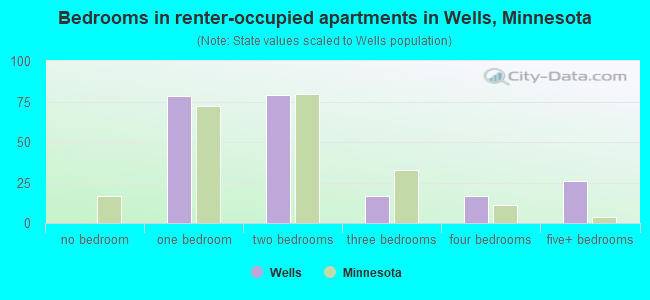 Bedrooms in renter-occupied apartments in Wells, Minnesota