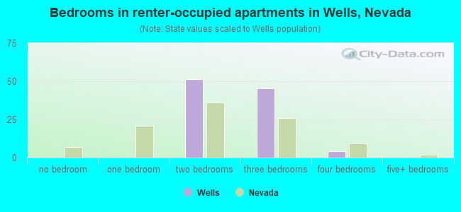 Bedrooms in renter-occupied apartments in Wells, Nevada