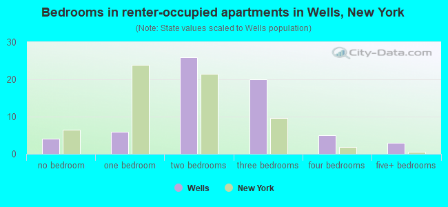 Bedrooms in renter-occupied apartments in Wells, New York