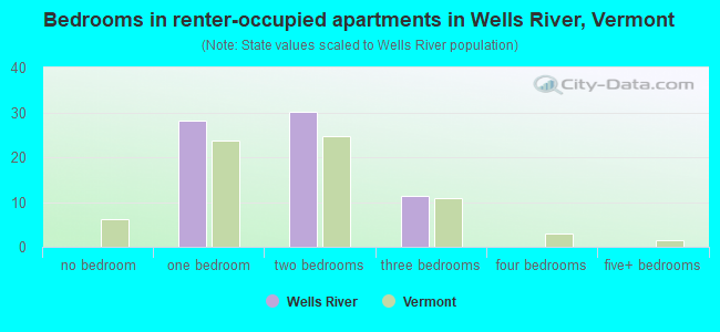 Bedrooms in renter-occupied apartments in Wells River, Vermont