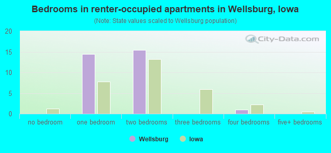 Bedrooms in renter-occupied apartments in Wellsburg, Iowa