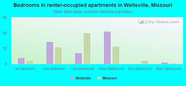 Bedrooms in renter-occupied apartments in Wellsville, Missouri