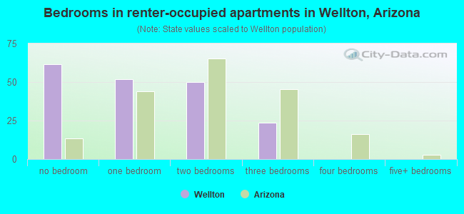 Bedrooms in renter-occupied apartments in Wellton, Arizona