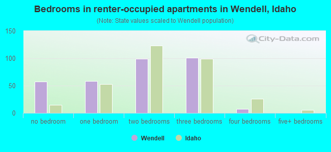 Bedrooms in renter-occupied apartments in Wendell, Idaho