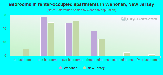 Bedrooms in renter-occupied apartments in Wenonah, New Jersey