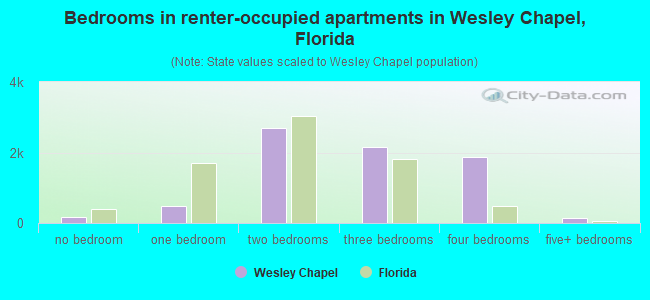 Bedrooms in renter-occupied apartments in Wesley Chapel, Florida