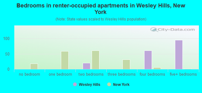 Bedrooms in renter-occupied apartments in Wesley Hills, New York