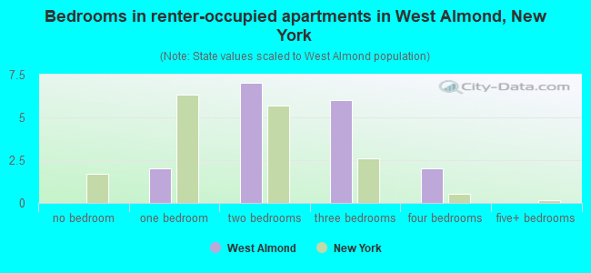 Bedrooms in renter-occupied apartments in West Almond, New York