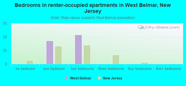 Bedrooms in renter-occupied apartments in West Belmar, New Jersey