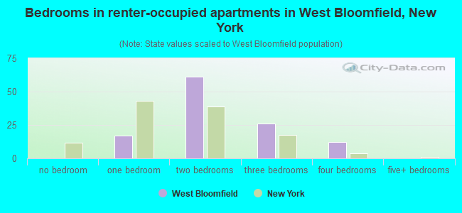 Bedrooms in renter-occupied apartments in West Bloomfield, New York