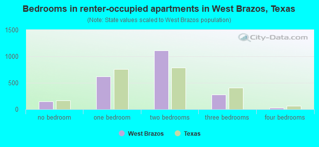 Bedrooms in renter-occupied apartments in West Brazos, Texas