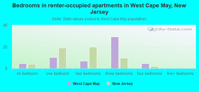 Bedrooms in renter-occupied apartments in West Cape May, New Jersey