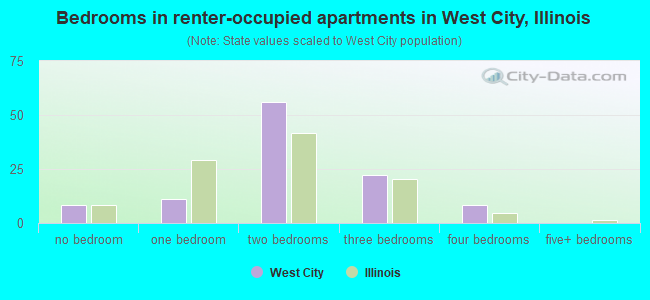Bedrooms in renter-occupied apartments in West City, Illinois