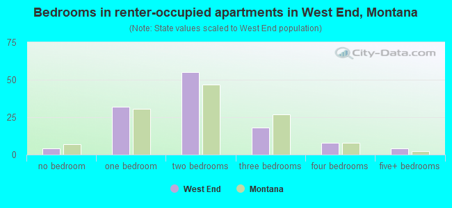 Bedrooms in renter-occupied apartments in West End, Montana