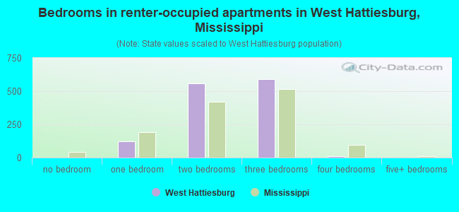 Bedrooms in renter-occupied apartments in West Hattiesburg, Mississippi