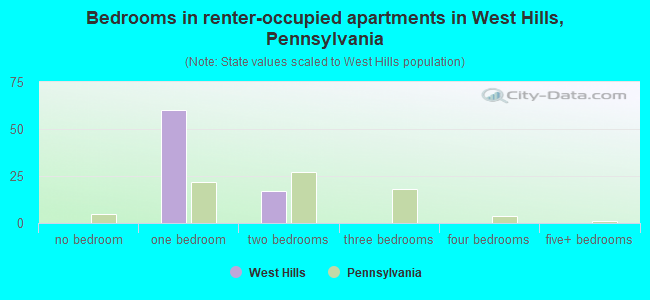 Bedrooms in renter-occupied apartments in West Hills, Pennsylvania
