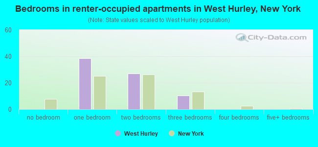 Bedrooms in renter-occupied apartments in West Hurley, New York