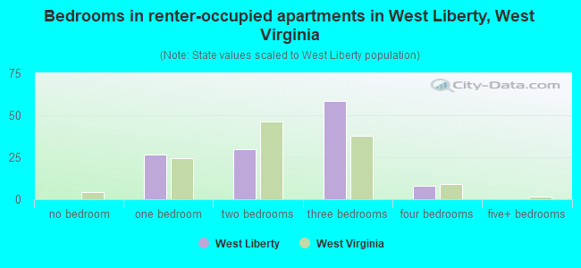 Bedrooms in renter-occupied apartments in West Liberty, West Virginia