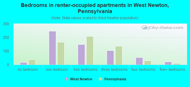 Bedrooms in renter-occupied apartments in West Newton, Pennsylvania