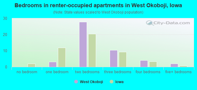 Bedrooms in renter-occupied apartments in West Okoboji, Iowa