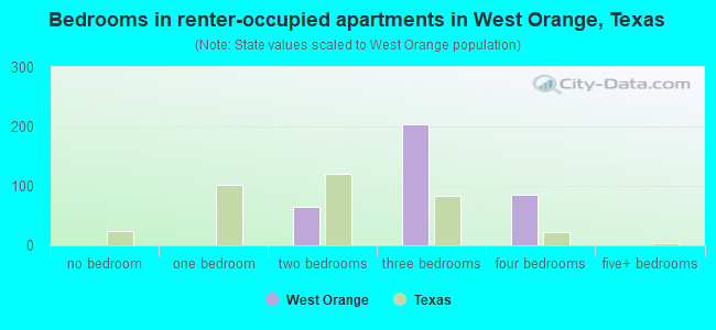 Bedrooms in renter-occupied apartments in West Orange, Texas