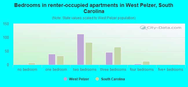 Bedrooms in renter-occupied apartments in West Pelzer, South Carolina