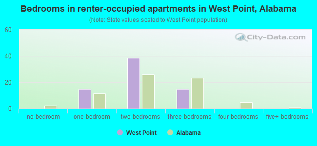 Bedrooms in renter-occupied apartments in West Point, Alabama