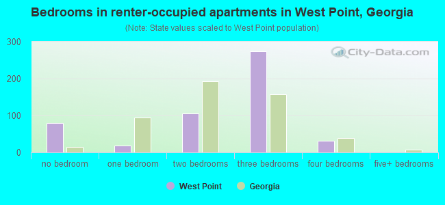 Bedrooms in renter-occupied apartments in West Point, Georgia