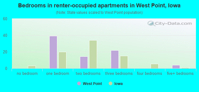 Bedrooms in renter-occupied apartments in West Point, Iowa