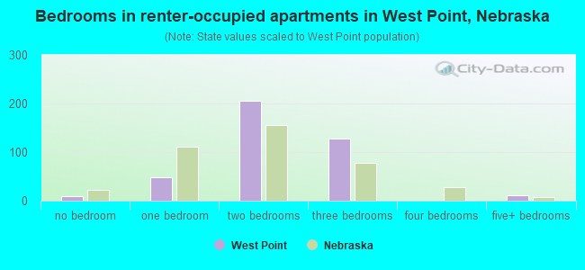 Bedrooms in renter-occupied apartments in West Point, Nebraska