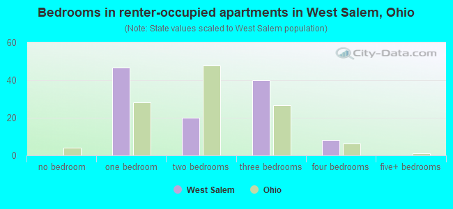 Bedrooms in renter-occupied apartments in West Salem, Ohio