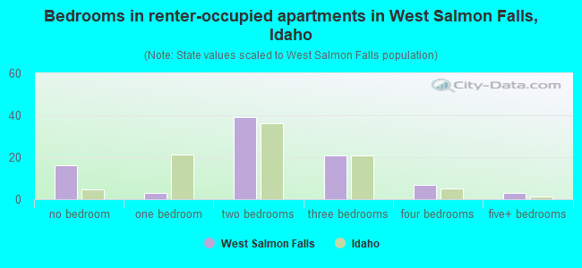Bedrooms in renter-occupied apartments in West Salmon Falls, Idaho