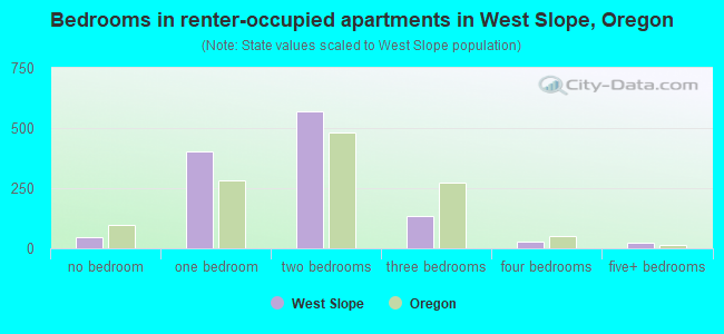 Bedrooms in renter-occupied apartments in West Slope, Oregon