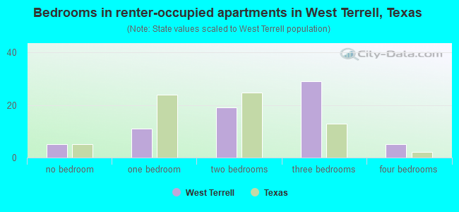 Bedrooms in renter-occupied apartments in West Terrell, Texas