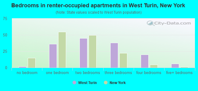 Bedrooms in renter-occupied apartments in West Turin, New York
