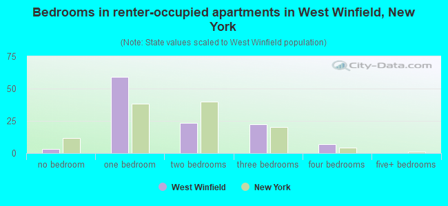 Bedrooms in renter-occupied apartments in West Winfield, New York