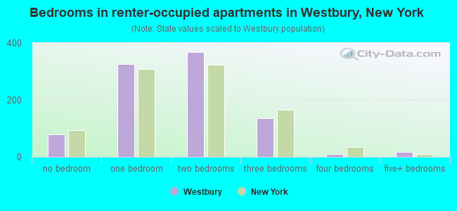 Bedrooms in renter-occupied apartments in Westbury, New York