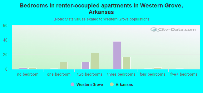Bedrooms in renter-occupied apartments in Western Grove, Arkansas