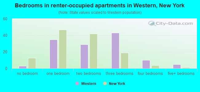 Bedrooms in renter-occupied apartments in Western, New York