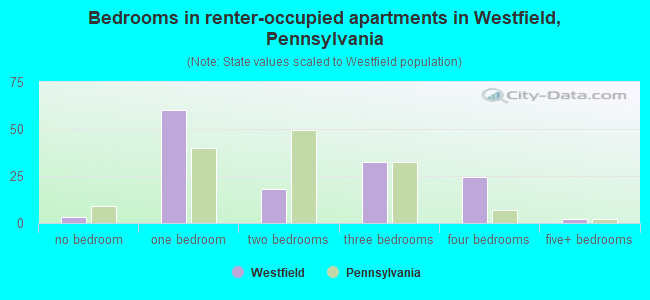 Bedrooms in renter-occupied apartments in Westfield, Pennsylvania