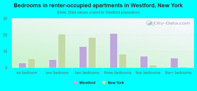 Bedrooms in renter-occupied apartments in Westford, New York