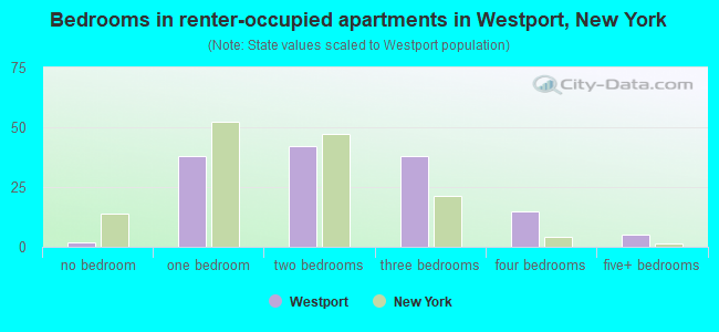 Bedrooms in renter-occupied apartments in Westport, New York