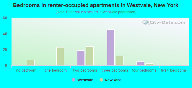 Bedrooms in renter-occupied apartments in Westvale, New York