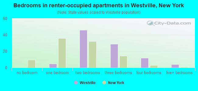 Bedrooms in renter-occupied apartments in Westville, New York