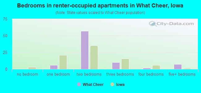 Bedrooms in renter-occupied apartments in What Cheer, Iowa