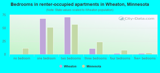 Bedrooms in renter-occupied apartments in Wheaton, Minnesota